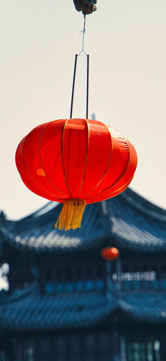 手机竖屏截图示意：详情页上半部分为关键信息区块，下半部分是带时间标记的纵向时间轴