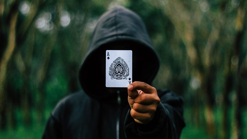 雷速平台 高级功能使用技巧